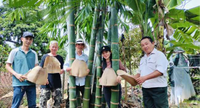 Hình đại lý lên web (3) HỢP TÁC XÃ NÔNG LÂM NGHIỆP VÀ DỊCH VỤ LIÊN XUÂN PHÁT