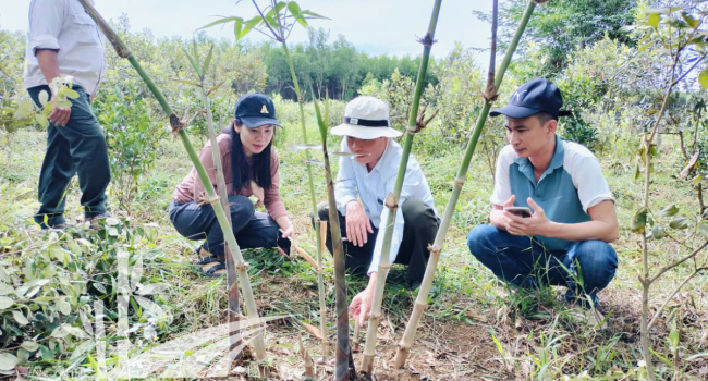 Tre khổng lồ 6 tháng Tre khổng lồ