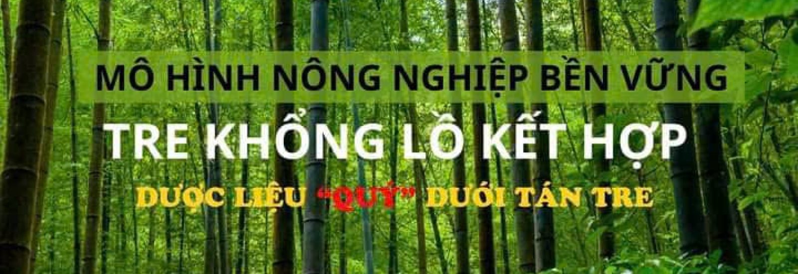 HTX Liên Xuân Phát